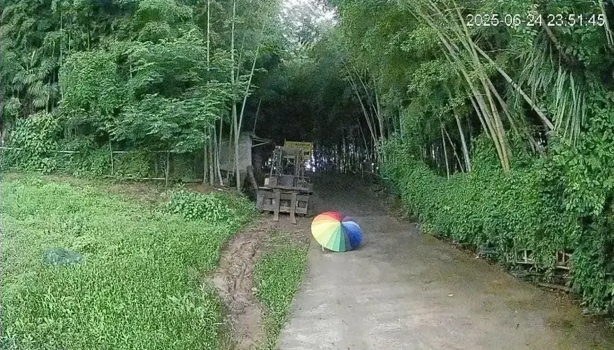 Démonstration de vision nocturne en couleur : un chemin et un parapluie multicolore