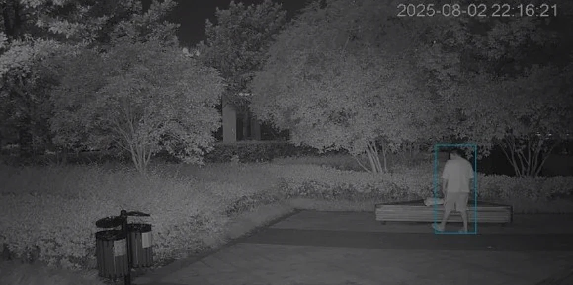 Même parc en infrarouge noir et blanc, pris une seconde plus tard